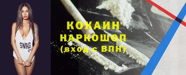 дмт Нея
