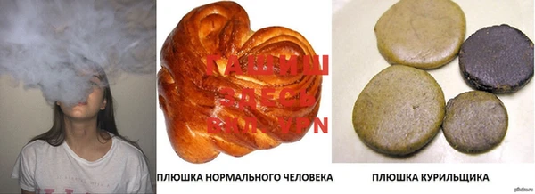 крисы Новозыбков