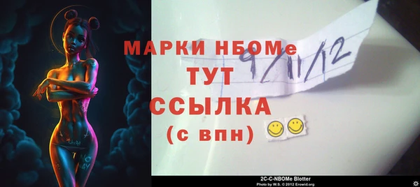 крисы Новозыбков