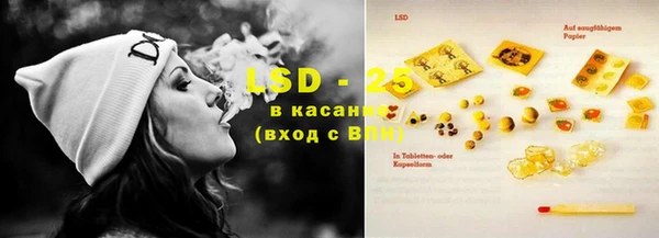 дмт Нея