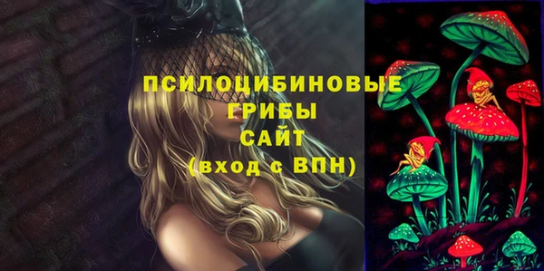дмт Нея