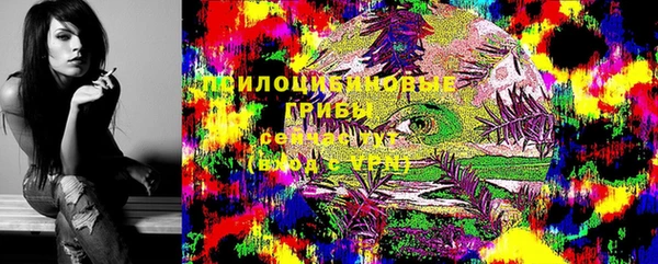 крисы Новозыбков