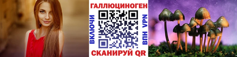 маркетплейс состав  Кемь  Псилоцибиновые грибы GOLDEN TEACHER 